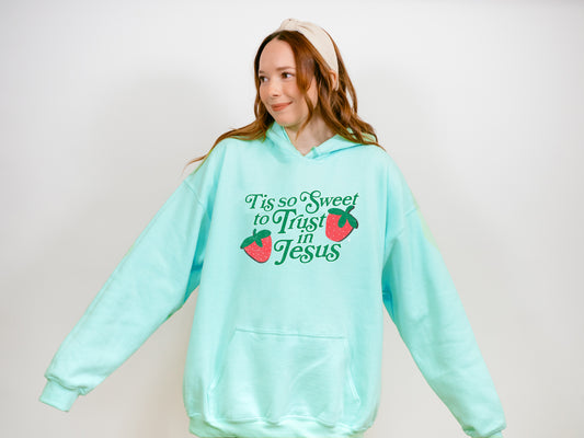 TIS SO SWEET TO FOLLOW JESUS HOODIE
